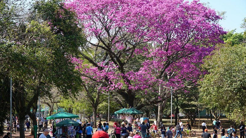Ibirapuera parki sao paulo brezilya