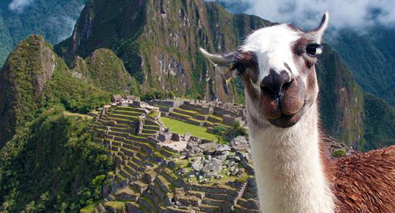 Machu Picchu Nerede & Nasıl Gidilir? Hakkında Bilgi 11 Machu Picchu Tur Fiyatları