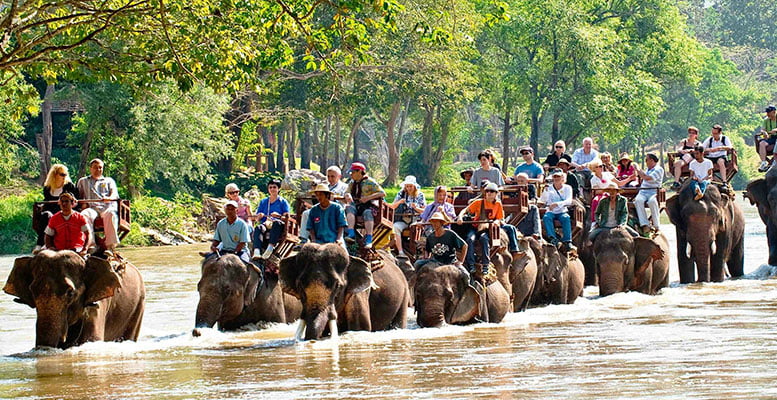 Tayland Fil Safarisi