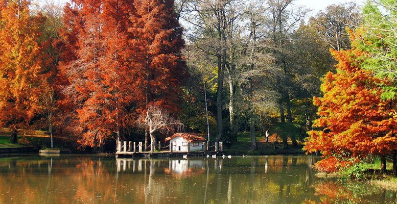 Belgrad Ormanı