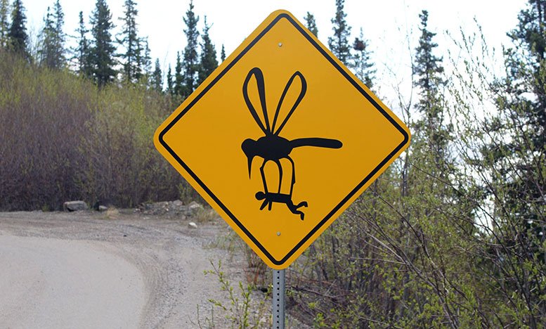 Sivrisinekten Nasıl Korunulur
